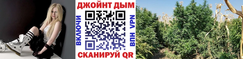 Как найти закладки Буйнакск Гашиш  Каннабис  MDMA  ТГК  А ПВП  KRAKEN вход  Меф мяу мяу  Амфетамин 
