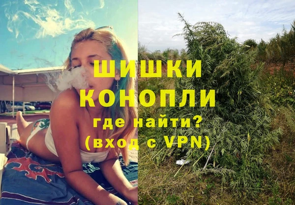 PSILOCYBIN Арсеньев