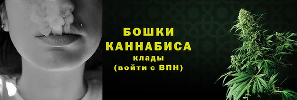 PSILOCYBIN Арсеньев