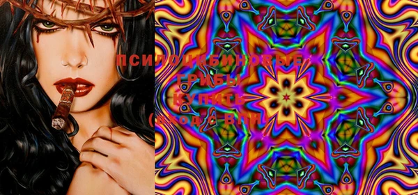 PSILOCYBIN Арсеньев