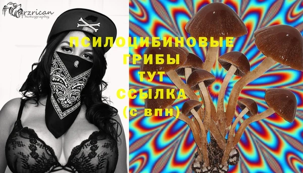 PSILOCYBIN Арсеньев