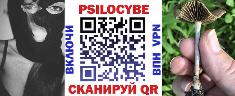 Галлюциногенные грибы MAGIC MUSHROOMS продажа наркотиков Буйнакск