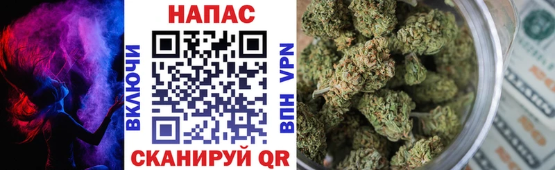 Бошки марихуана план Буйнакск